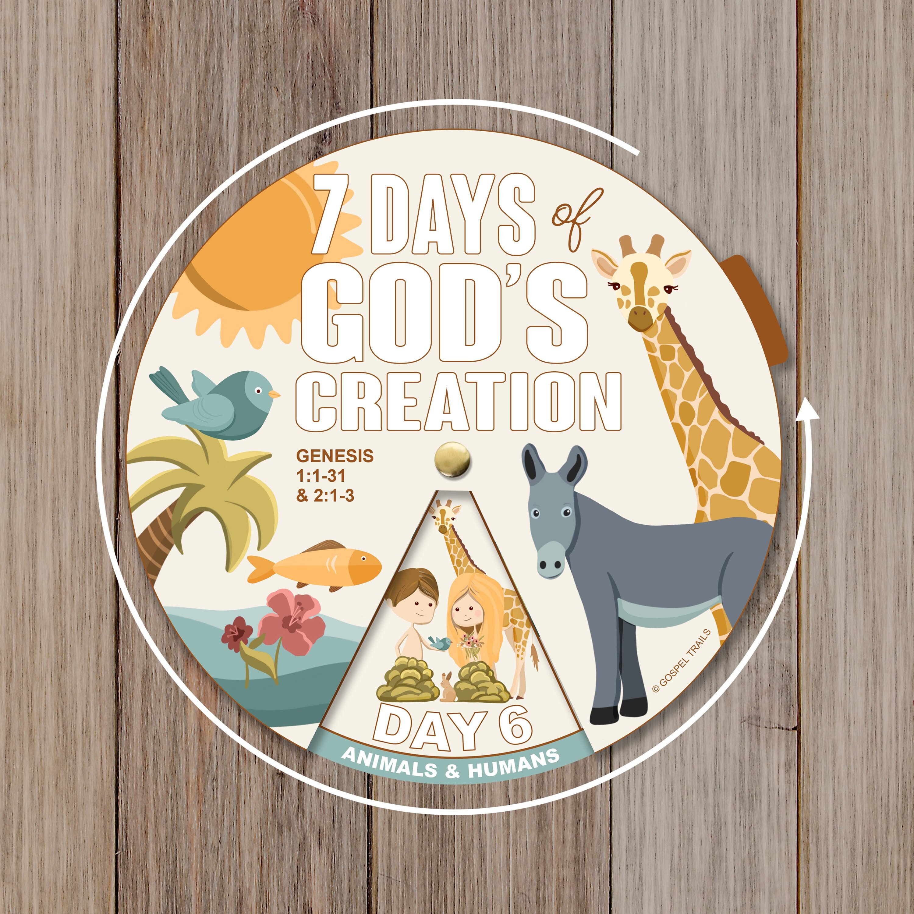 7 Days of Creation Coloring Wheel Printable Bible Activity - Etsy