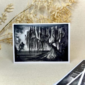 Sauce llorón • tarjeta de condolencias • postal • blanco y negro • tarjeta A6 • luto • sauce junto al lago • condolencia • carta de condolencias • tarjeta plegable