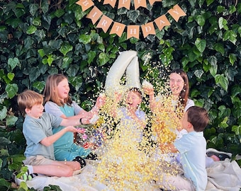 Confettipopper, verjaardag, bruiloft, geslachtsonthulling