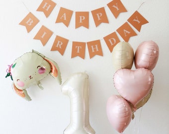 Bunny 1st Birthday Balloon Set, Pink & Beige Decor