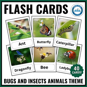 Peut inclure: Cartes flash avec des images d'insectes et de punaises, dont une fourmi, un papillon, une chenille, une libellule, une abeille et une coccinelle. Les cartes sont étiquetées avec les noms des insectes. L'ensemble comprend 40 cartes. Le thème est "Bugs and Insects Animals".