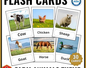 Schede didattiche sugli animali dell'oceano e del mare | Schede sugli animali marini | Immagini reali | Schede Montessori in 3 parti | Vocabolario sugli animali marini | Stampabile
