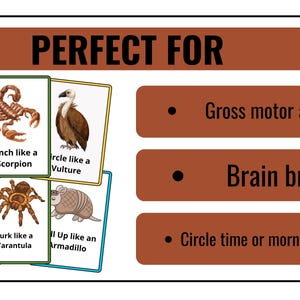 May include: A set of colorful cards featuring animal illustrations and action words. The cards include a camel, scorpion, vulture, meerkat, tarantula, and armadillo. The text on the cards reads "Stomp like a Camel", "Pinch like a Scorpion", "Circle like a Vulture", "Stand Guard a Meerk", "Lurk like a Tarantula", and "Roll Up like an Armadillo". The cards are perfect for gross motor activity, brain breaks, circle time, or morning meetings.