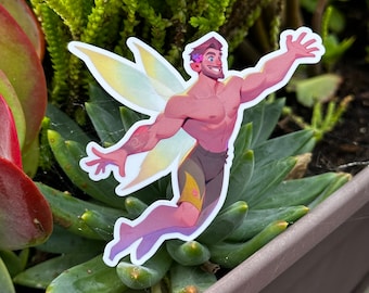 Fairy Boy Vinyl Sticker: Eirian, Glossy or Holographic, Water-Resistant