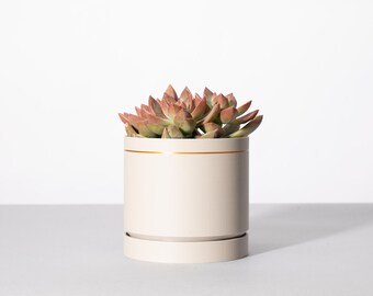 The Grove Planter Pot in Stone w/ Gold Trim Accent - Custom 3D Printed Pot & Drip Tray