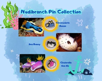 Nudibunches | PVC Pin | Lapel Pin | Sea Slug | Nudibranch | Squishy | Cinderella | Sea Bunny | Chromodoris Annae