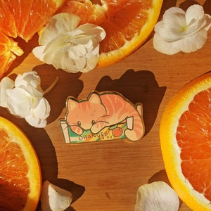 Orange Crate Box Cat Enamel Pin | Gift for cat lovers | ginger cat | Pin Collector | cute, fluffy, accessory, jewelry | Oranges for Oranges!