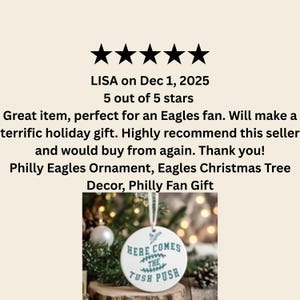 Philly Eagles Ornament, Eagles Christmas Tree Decor, Philly Fan Gift afbeelding 3