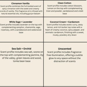 Pu&ograve; includere: Un grafico con sei diverse fragranze di candele, ognuna con una descrizione del profilo olfattivo. Le fragranze sono Cannella Vaniglia, Salvia Bianca + Lavanda, Cotone Pulito, Crema di Cocco + Cardamomo, Sale Marino + Orchidea e Insapore.