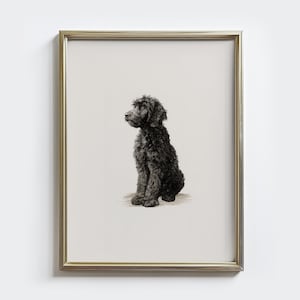 Könnte beinhalten: Ein gerahmter Druck mit einer detaillierten Illustration eines schwarzen Hundes in sitzender Position, der nach links blickt. Der Hund hat ein flauschiges Fell vor einem neutralen Hintergrund. Der Rahmen ist goldfarben.