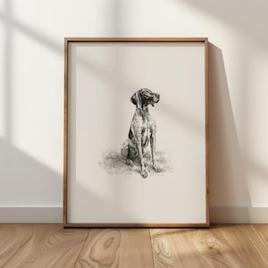 GSP Sketch Print: Vintage German Shorthaired Pointer Wall Art - Farmhouse Decor