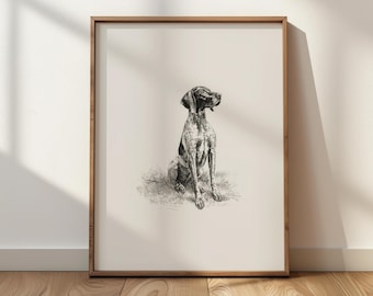 GSP Sketch Print: Vintage German Shorthaired Pointer Wall Art - Farmhouse Decor