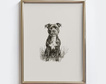Impresión de boceto de Staffordshire Bull Terrier: Arte canino vintage (descarga digital)