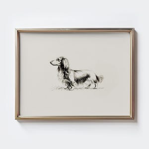 Langhaar Dackel, Vintage Hund Skizze Print, Hund Zeichnung, Hundebesitzer Geschenk, Rustikaler Dackel, Poster vom Bauernhof