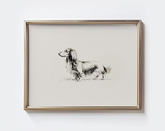 Long-Haired Dachshund Sketch Print: Minimalist Wiener Dog Wall Art (Digital Download)