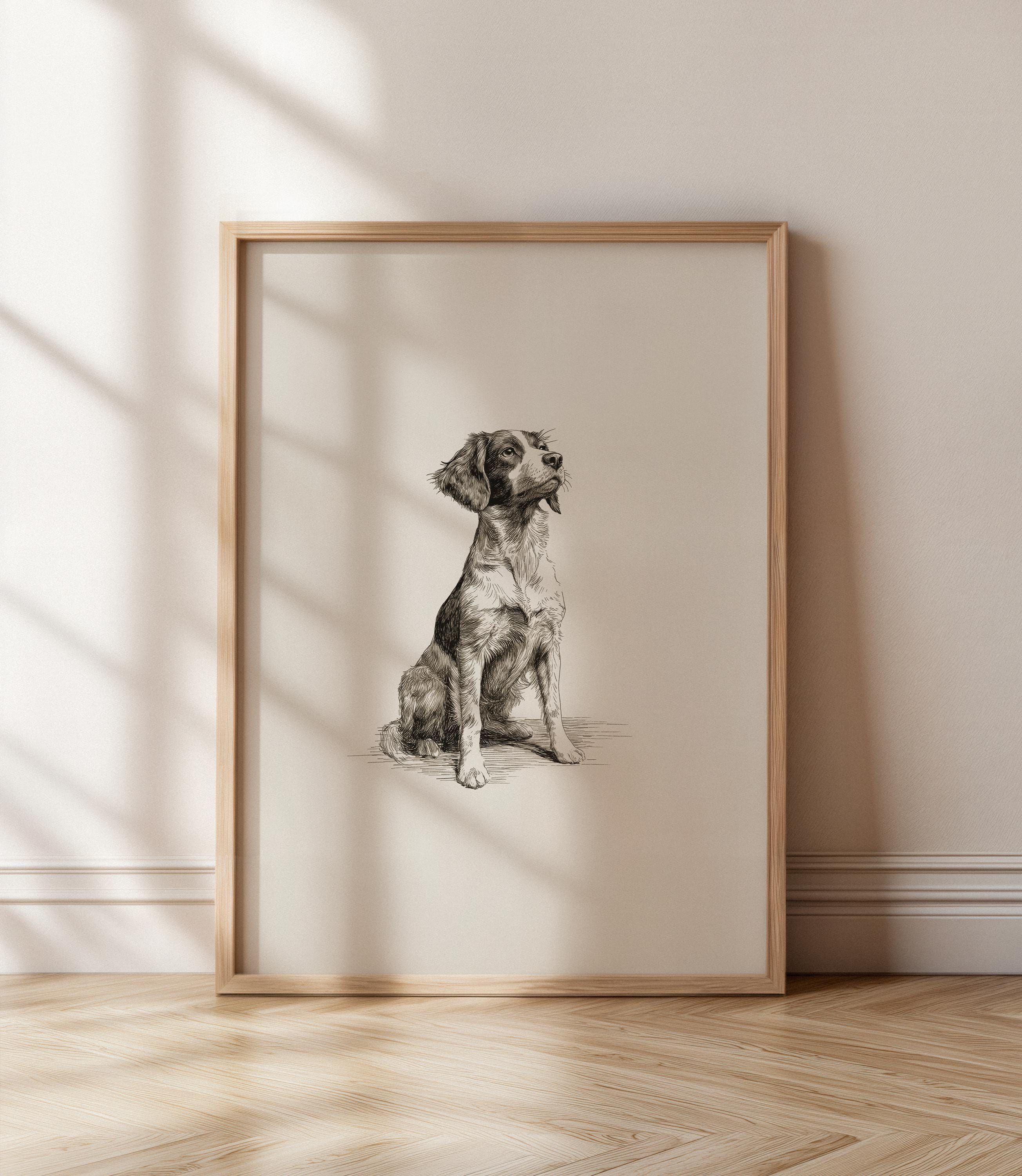 Vintage Brittany Spaniel Sketch Print: Dog Drawing Wall Art - Farmhouse ...