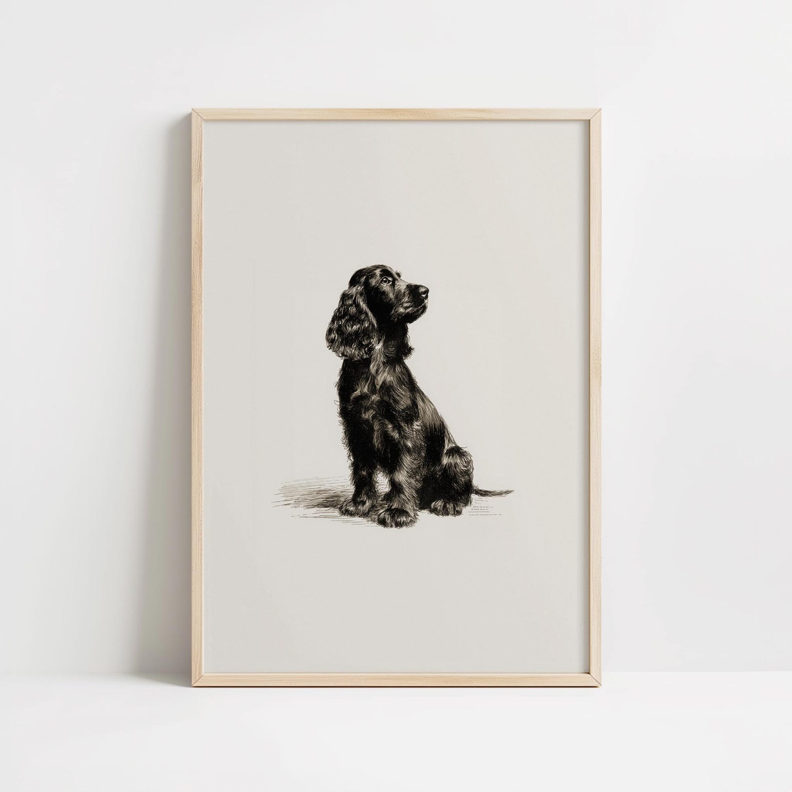 Black Cocker Spaniel Sketch Print: Vintage Dog Drawing Wall Art ...