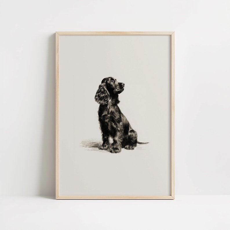 Black Cocker Spaniel Sketch Print: Vintage Dog Drawing Wall Art ...