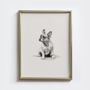 Vintage French Bulldog Sketch Print: Farmhouse Dog Art (Digital Download)