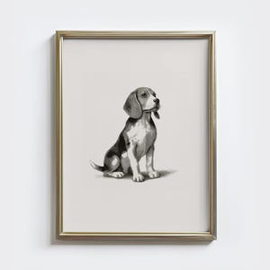 Puede incluir: Una impresión en blanco y negro enmarcada de un perro beagle sentado. El perro está representado en un estilo clásico y detallado, con las orejas caídas y la mirada dirigida hacia arriba. El marco es de color dorado.