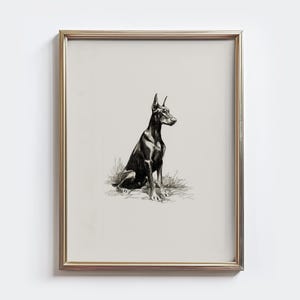 Doberman Pinscher Sketch Print: Vintage Dog Drawing Wall Art - Farmhouse Wall Decor