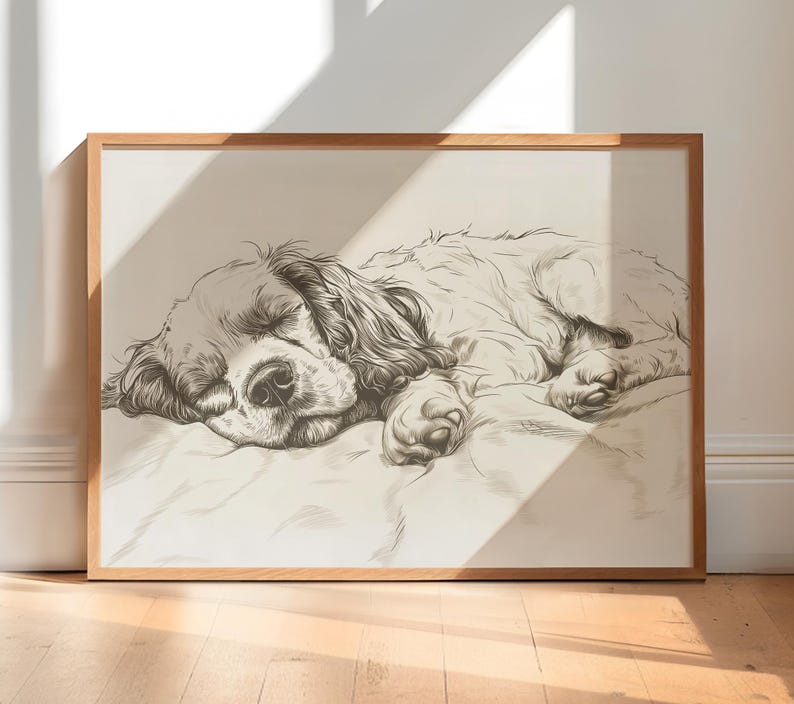 Cocker Spaniel Sketch Print: Vintage Sleeping Dog Art (digital Download ...