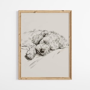 Può includere: Un disegno in bianco e nero di un piccolo cane che dorme su un cuscino. Il cane è rannicchiato con la testa appoggiata sul cuscino. Il disegno è su uno sfondo beige chiaro.