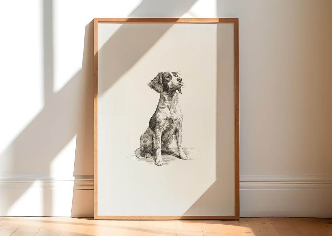 Vintage Brittany Spaniel Sketch Print: Dog Drawing Wall Art - Farmhouse ...
