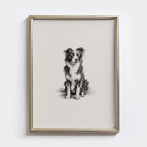 Impresión vintage de Border Collie, arte mural con boceto de Border Collie, regalo para dueños de perros, impresión campestre, dibujo de perros, decoración de pared de granja