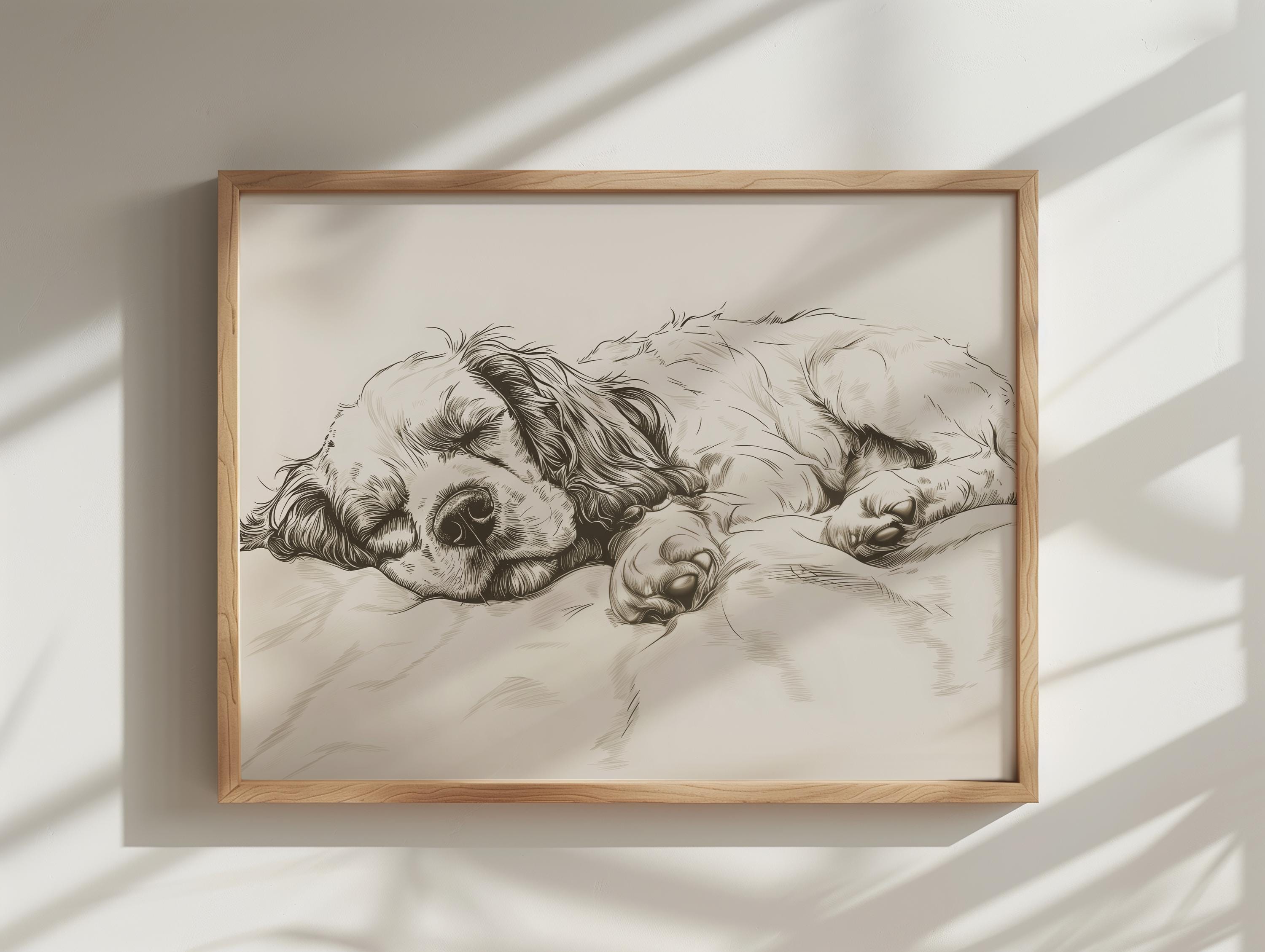 Cocker Spaniel Sketch Print: Vintage Sleeping Dog Art (digital Download ...