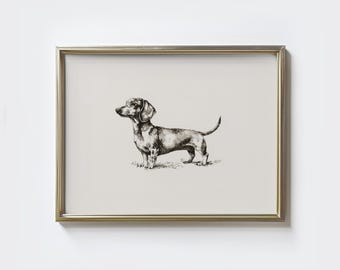 ヴィンテージ ダックスフント 犬のスケッチ画 ペット ミニマルライン
