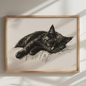 May include: A black and white line drawing of a cat sleeping on a pillow. The cat is curled up in a ball with its head resting on its paws. The drawing is framed in a light wood frame.