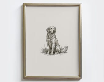 Golden Retriever Sketch Print: Vintage Dog Drawing Wall Art - Farmhouse Wall Decor