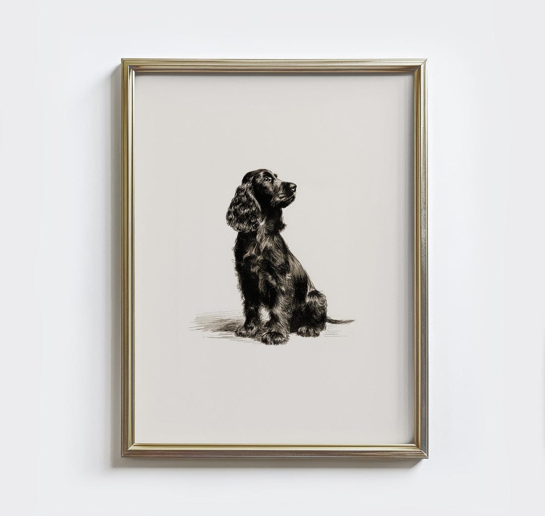Black Cocker Spaniel Sketch Print: Vintage Dog Drawing Wall Art ...