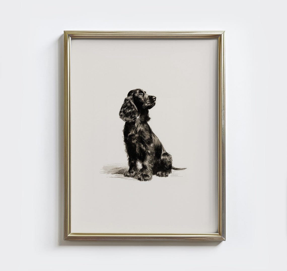 Black Cocker Spaniel Sketch Print: Vintage Dog Drawing Wall Art ...