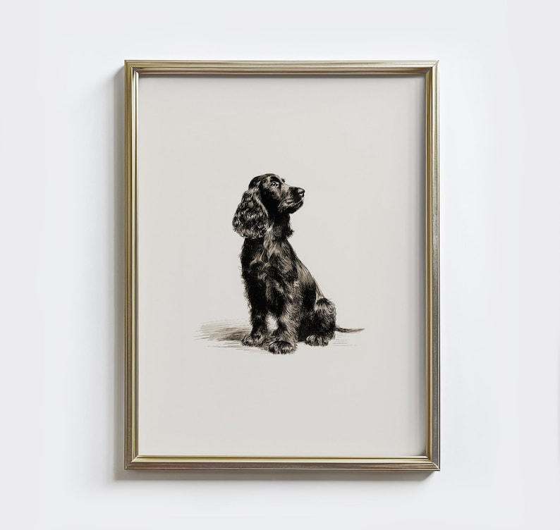 Black Cocker Spaniel Sketch Print: Vintage Dog Drawing Wall Art ...