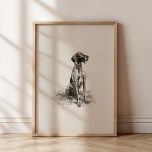 GSP Sketch Print: Vintage German Shorthaired Pointer Wall Art ...