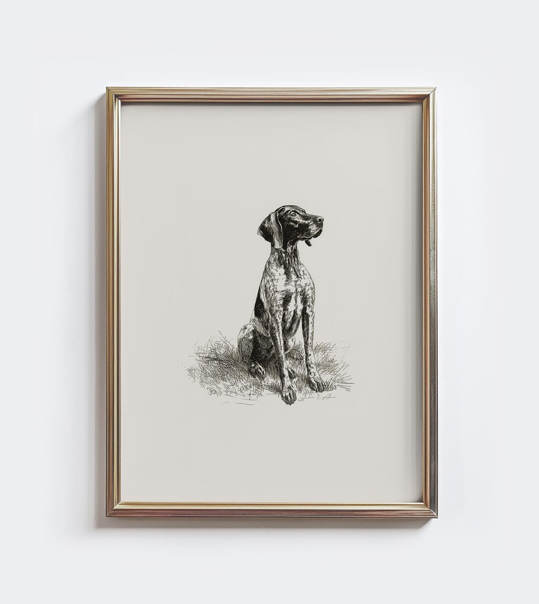 GSP Sketch Print: Vintage German Shorthaired Pointer Wall Art ...