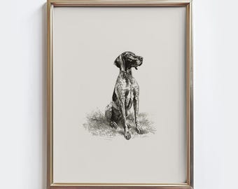 GSP Sketch Print: Vintage German Shorthaired Pointer Wall Art - Farmhouse Decor