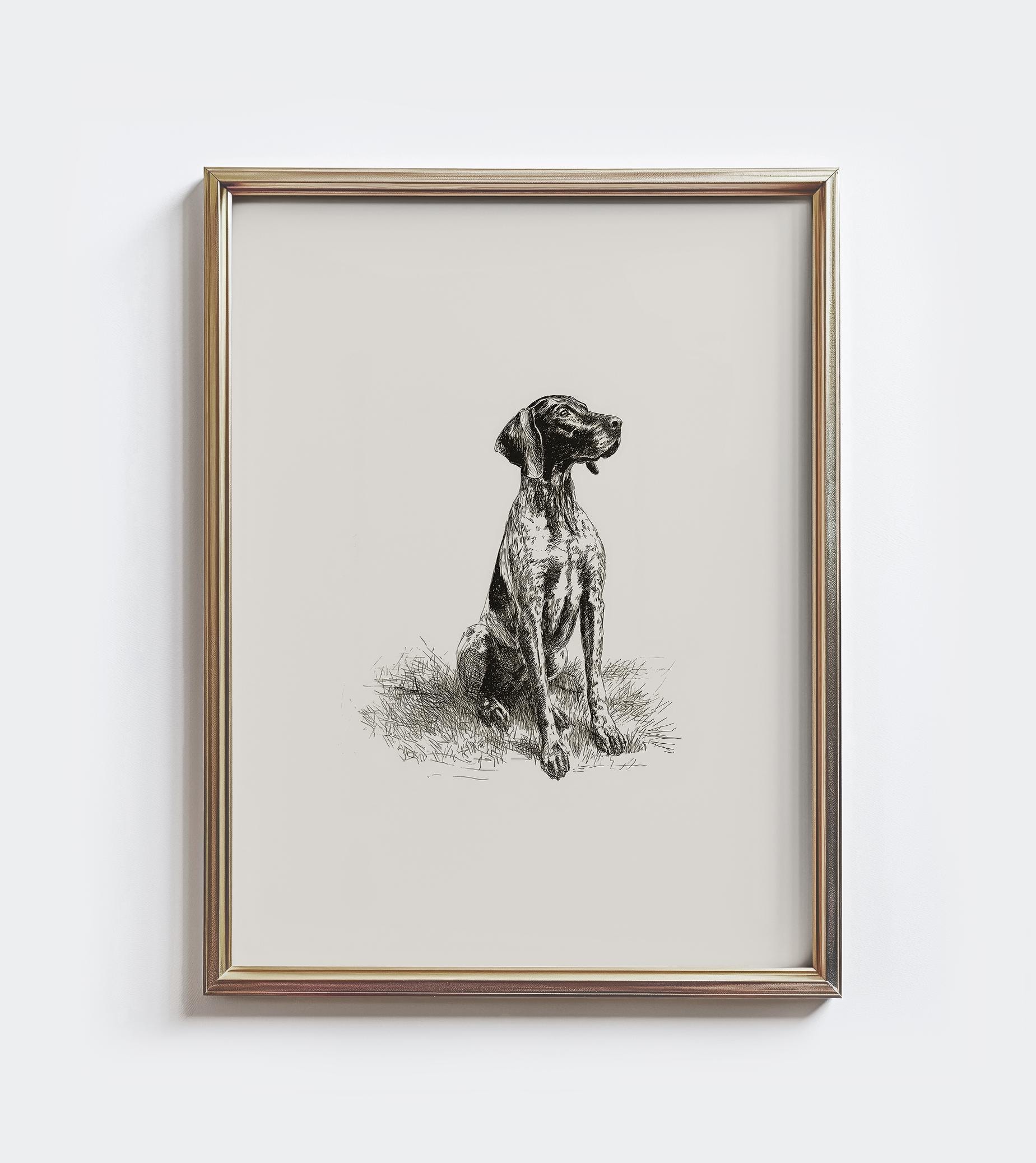 GSP Sketch Print: Vintage German Shorthaired Pointer Wall Art - Farmhouse Decor