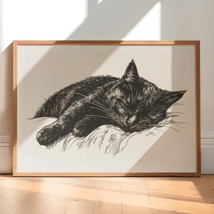 May include: A black and white line drawing of a cat sleeping on a pillow. The cat is curled up with its head resting on its paws.