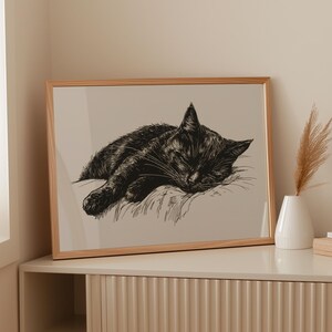 May include: A black and white illustration of a cat sleeping in a curled up position. The cat is drawn in a realistic style with detailed fur and facial features. The image is framed in a wooden frame and displayed on a shelf.