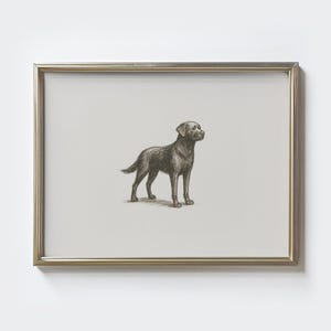 Schwarzer Labrador, Vintage Hund Skizze Print, Labradorit Bild, Hundebesitzer Geschenk, Rustikaler Hund, Hunde Portrait Poster, Bauernhaus Dekor