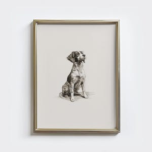 Vintage Brittany Spaniel Sketch Print: Dog Drawing Wall Art - Farmhouse ...
