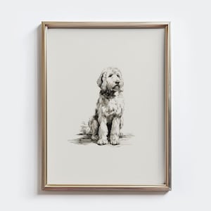 Impression vintage Goldendoodle, dessin portrait de chien, art mural croquis Goldendoodle, cadeau pour propriétaire de chien, impression campagne, décoration murale ferme