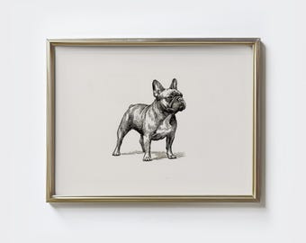 フレンチブルドッグ 手描き肖像画SAMPLE フレンチブルドッグ 手描き肖像画SAMPLE フレンチブルドッグ 手描き