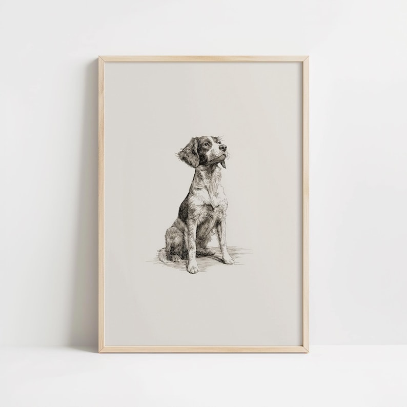 Vintage Brittany Spaniel Sketch Print: Dog Drawing Wall Art - Farmhouse ...