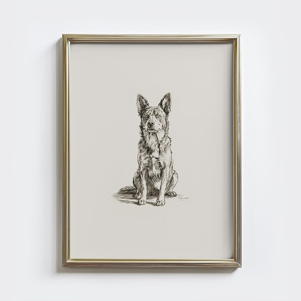 Australian Cattle Dog Sketch Print: Vintage Farmhouse Wall Art (Digital Download