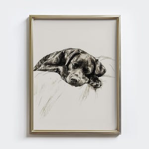 Arte de esboço de labrador dormindo, impressão de cachorro dormindo vintage, retrato de labrador preto, presente para dono de cachorro, arte de parede rústica para cachorro, decoração de parede de casa de fazenda