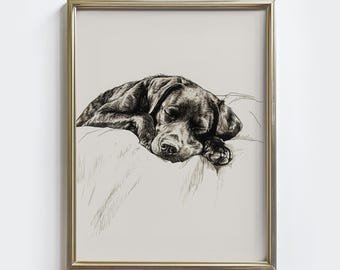 Labrador Sketch Art Print: Vintage Sleeping Dog Portrait (Digital Download)